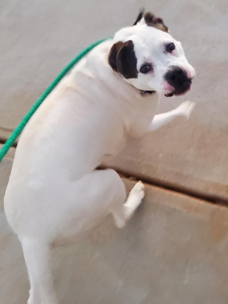 Angie thumbnail 5