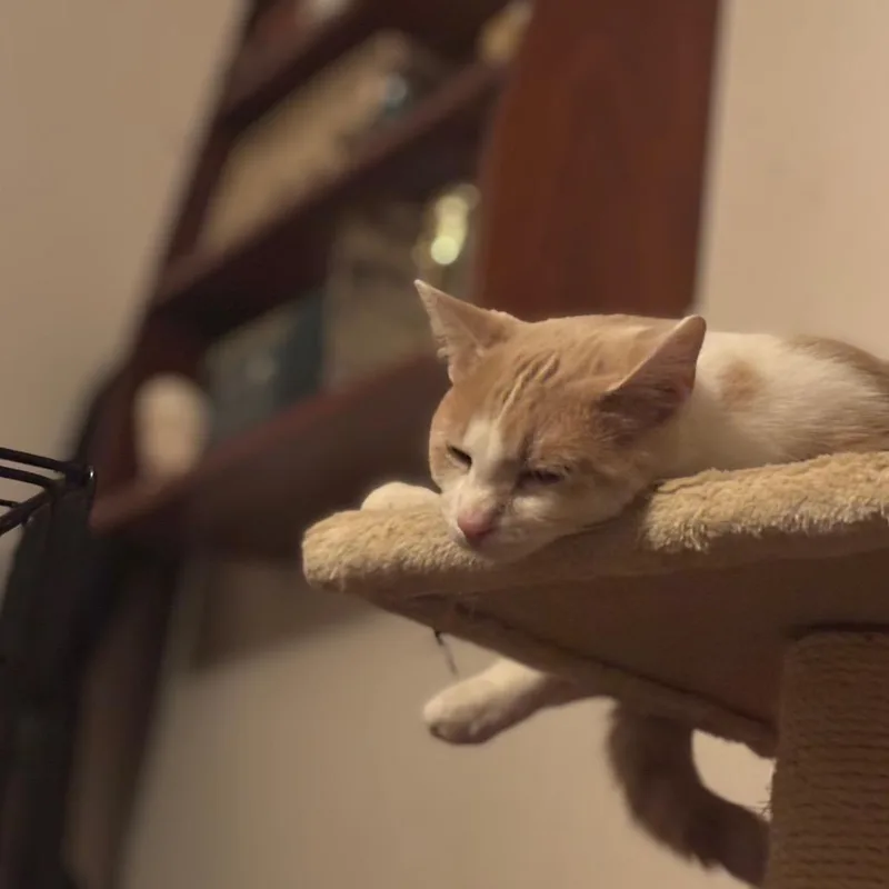 Commercial thumbnail 3