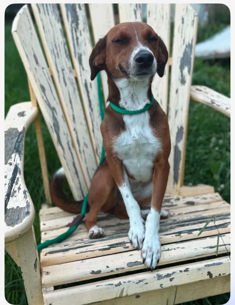 Rosie