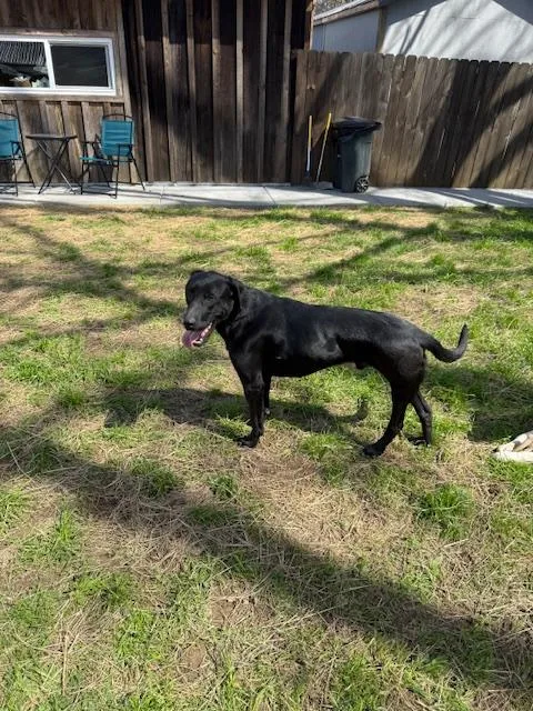 Jett Knox ~ Amazing thumbnail 3