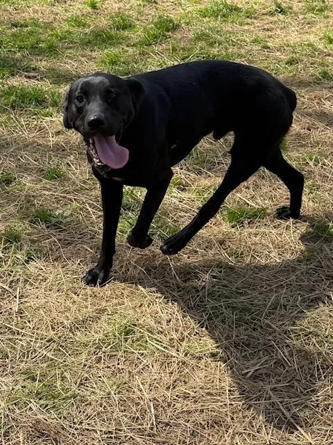 Jett Knox ~ Amazing thumbnail 5