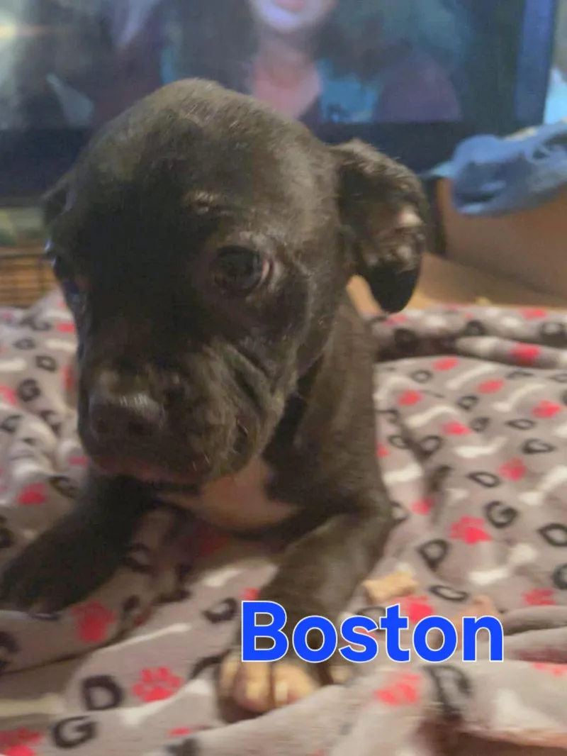 Betsy thumbnail 4