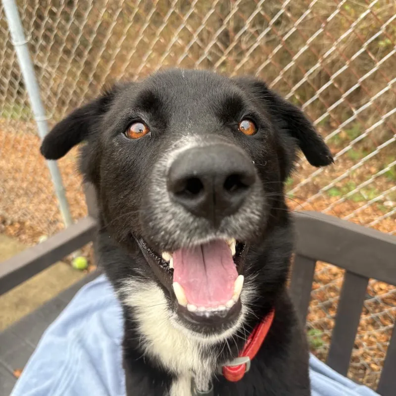 Frito Burrito thumbnail 2