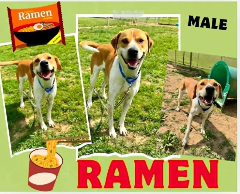 Ramen