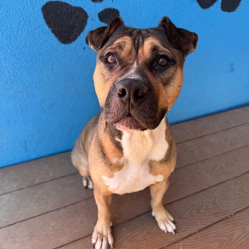 Coltrane thumbnail 4