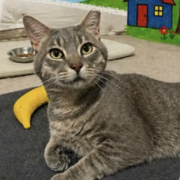 Pete