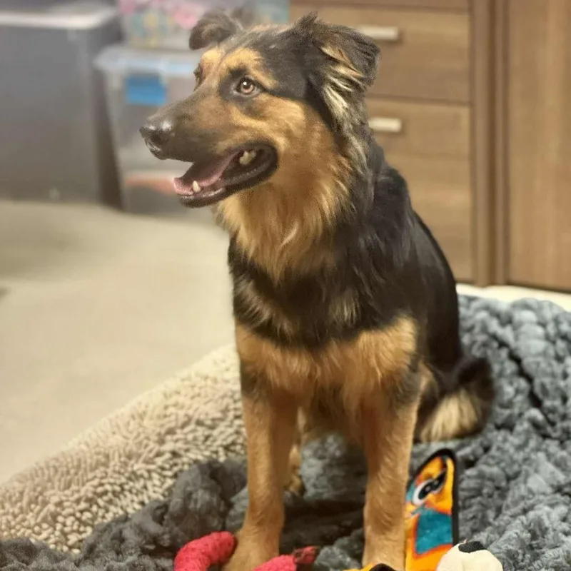 Felicity thumbnail 2