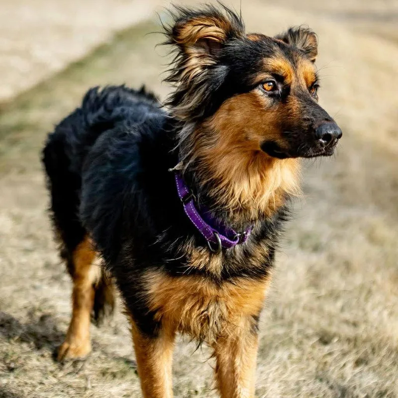 Felicity thumbnail 3