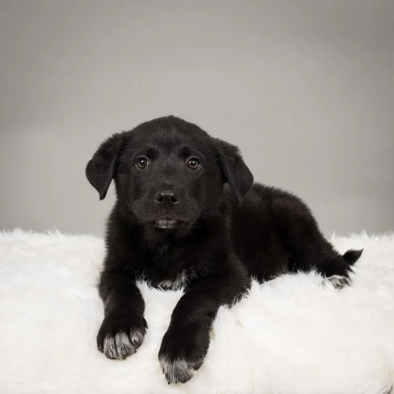 Butch Cassidy thumbnail 2