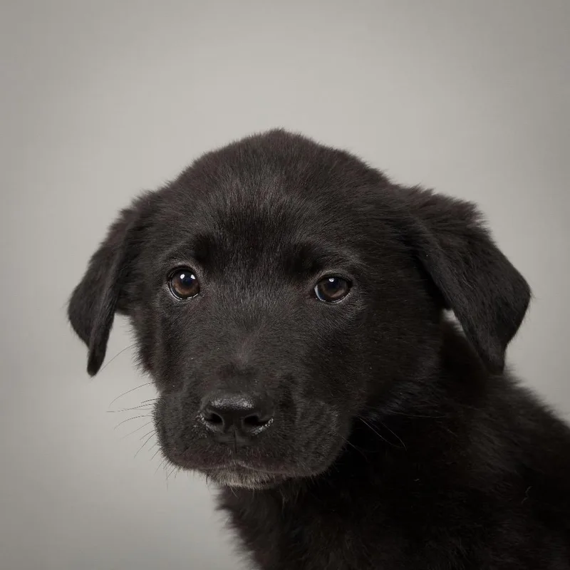 Butch Cassidy thumbnail 3