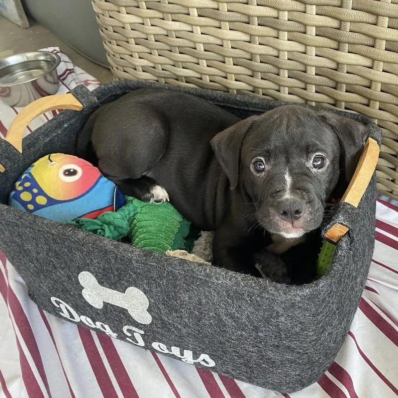 Guinness thumbnail 2