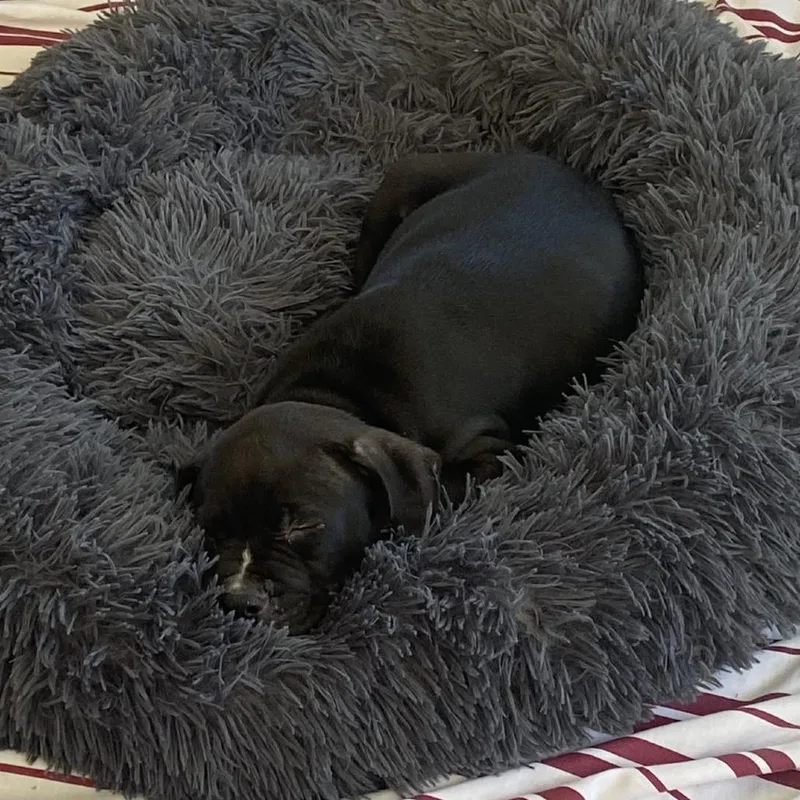 Guinness thumbnail 4