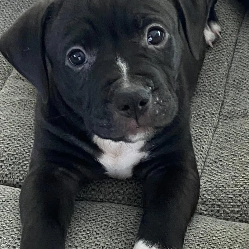 Guinness thumbnail 5