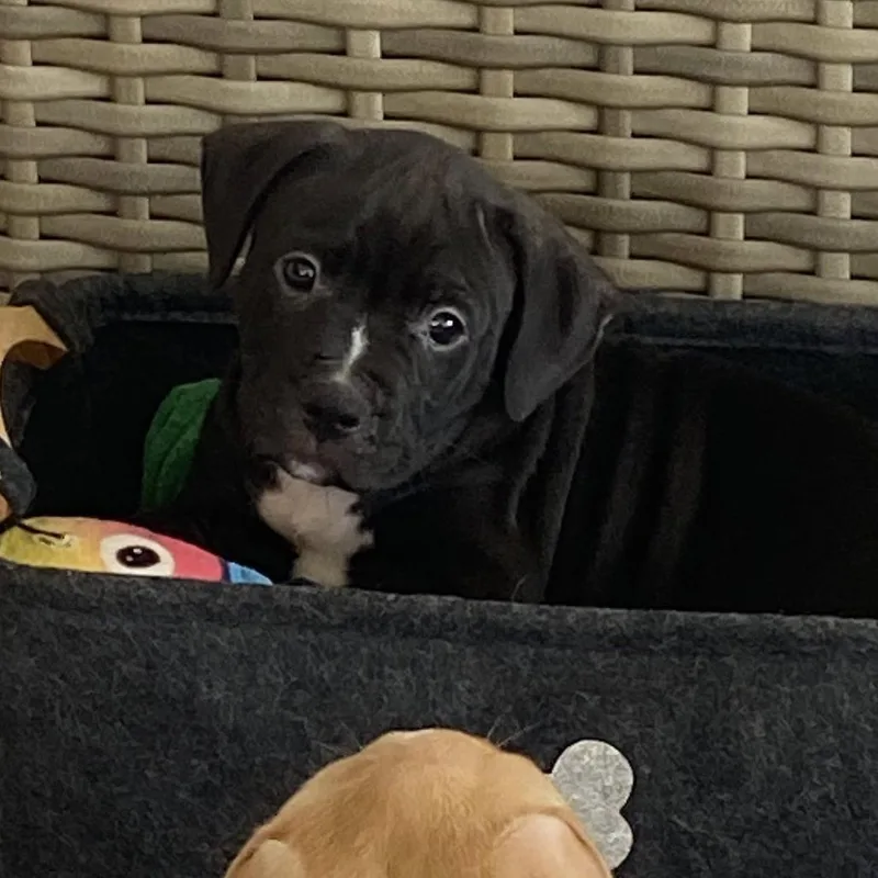 Guinness thumbnail 6