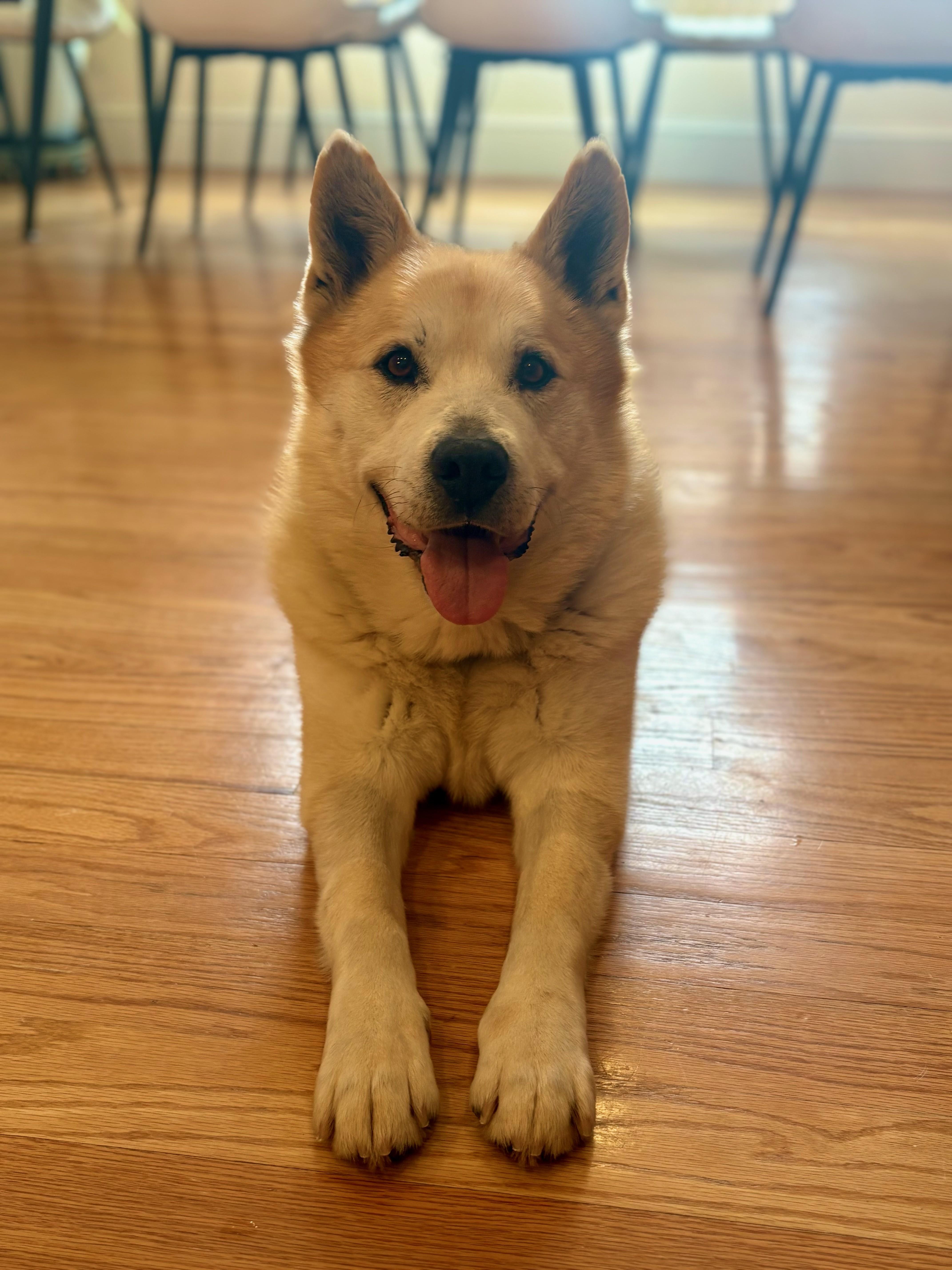 Buddy And Bandit  thumbnail 2