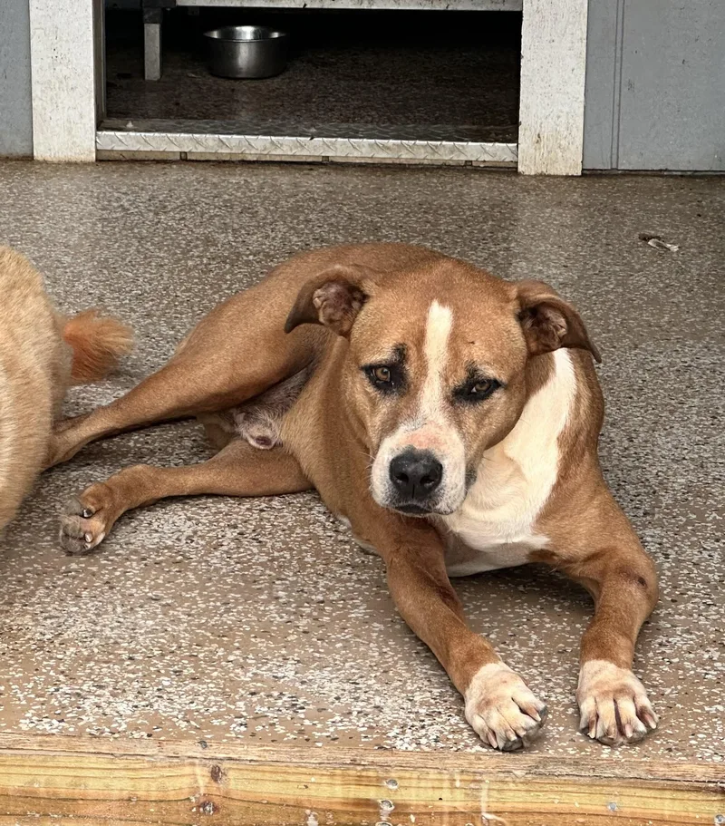 Buddy And Bandit  thumbnail 5