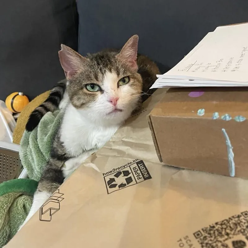 Willow Carter thumbnail 2