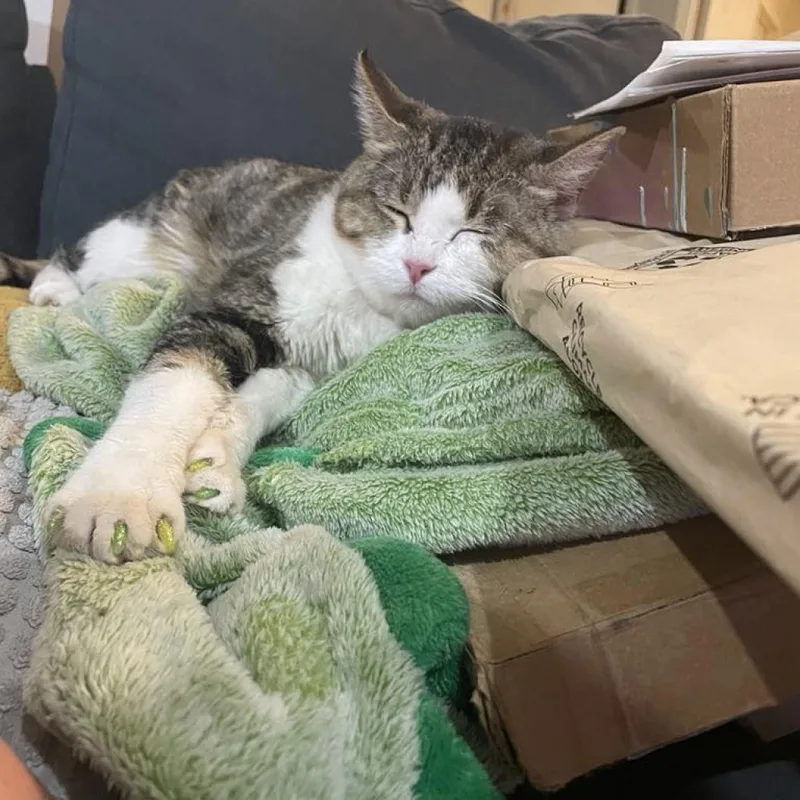 Willow Carter thumbnail 3