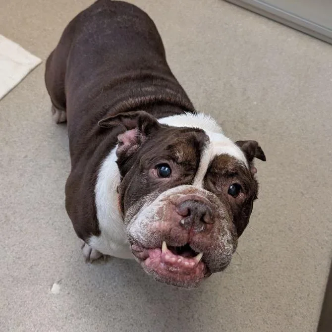 Wrinkles thumbnail 3