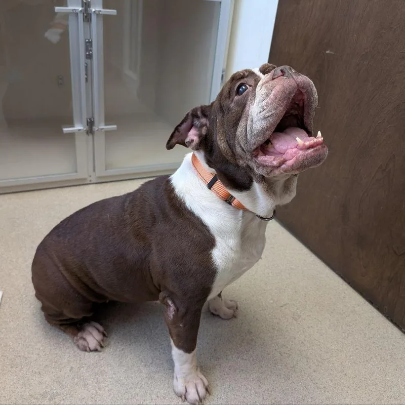 Wrinkles thumbnail 4