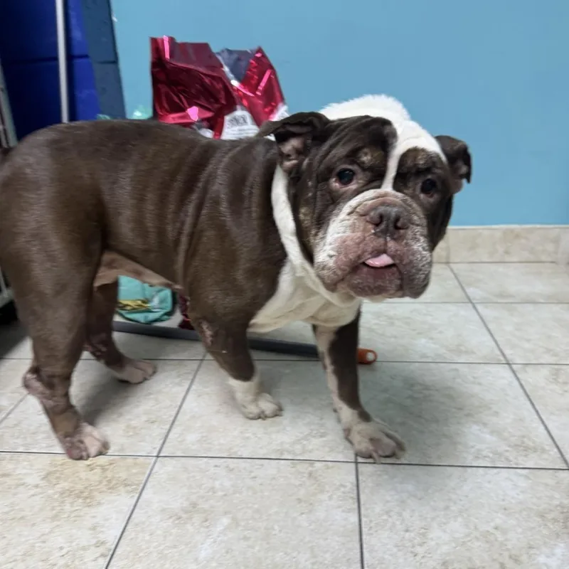 Wrinkles thumbnail 6