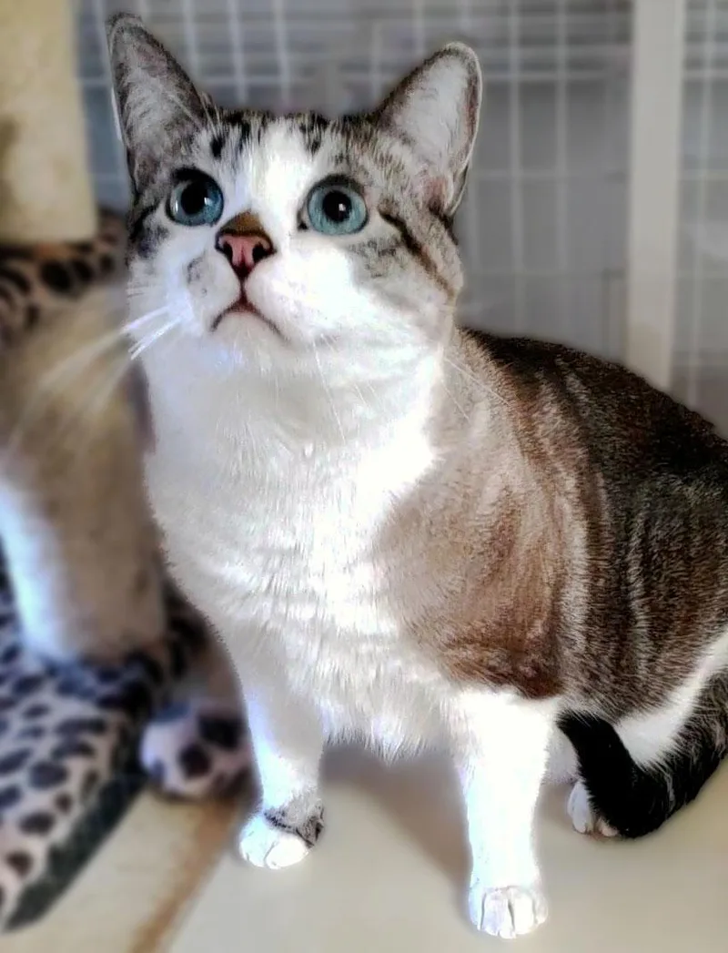 Berkeley thumbnail 2