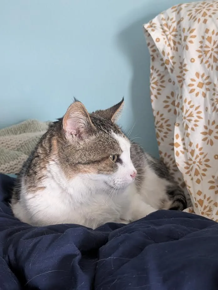 Suzie thumbnail 3