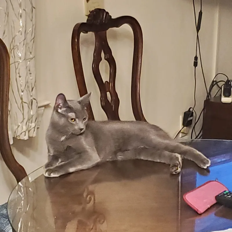 Flint And Slate thumbnail 2