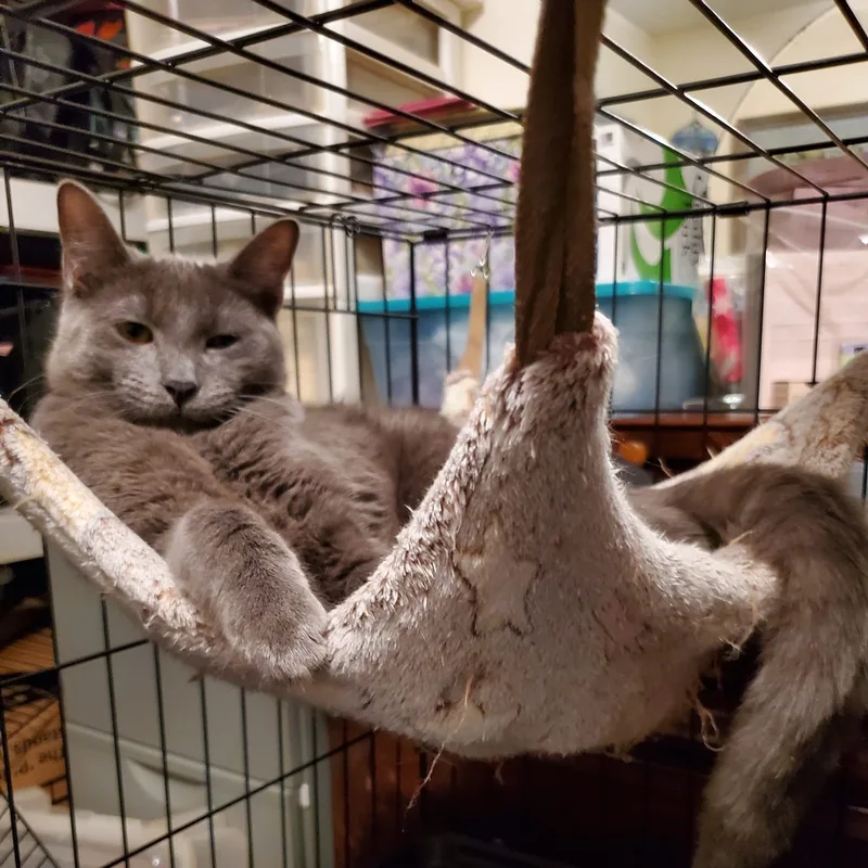 Flint And Slate thumbnail 3