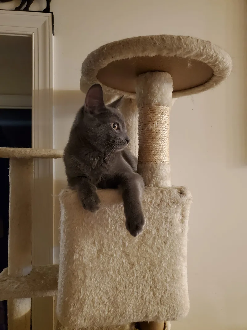 Flint And Slate thumbnail 4