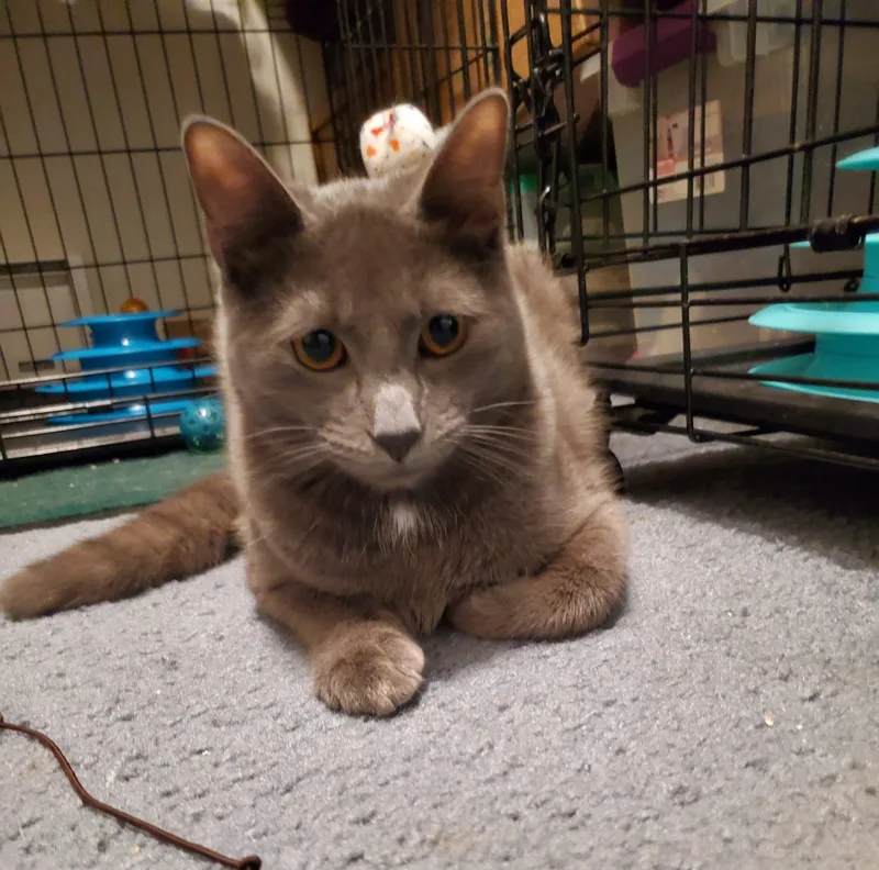 Flint And Slate thumbnail 5