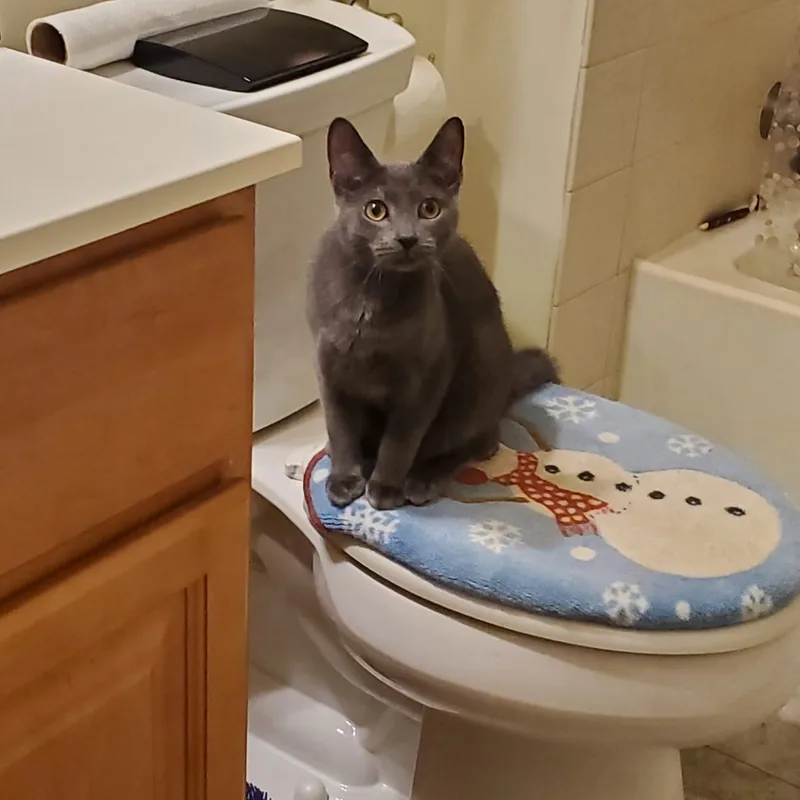 Flint And Slate thumbnail 6