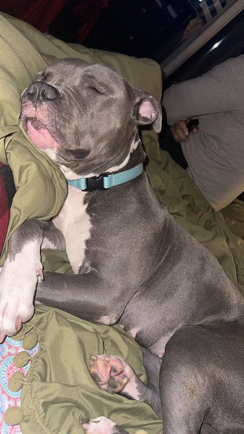 Luna Rose thumbnail 2