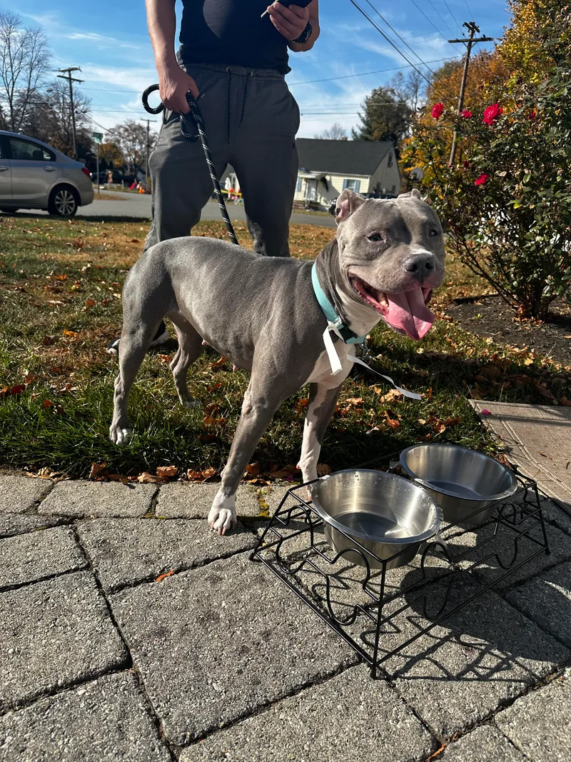 Luna Rose thumbnail 3