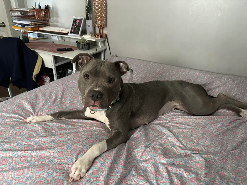 Luna Rose thumbnail 5