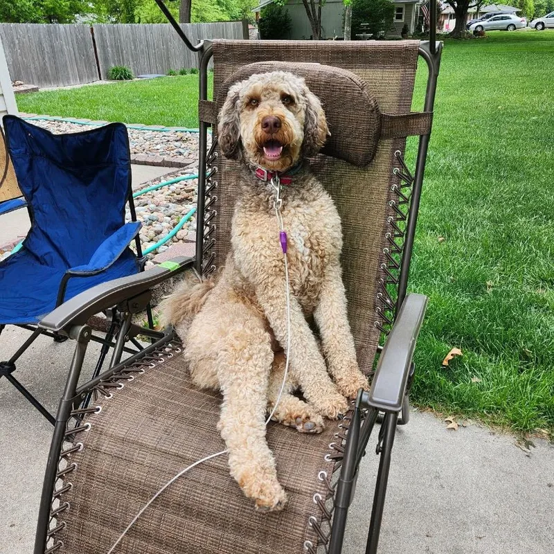 Ted