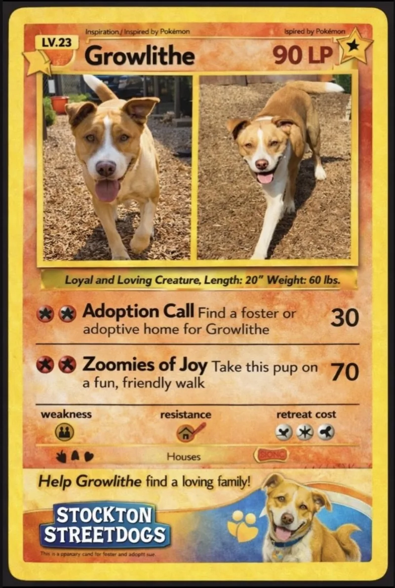 Growlithe thumbnail 3