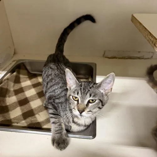 Stacey thumbnail 2