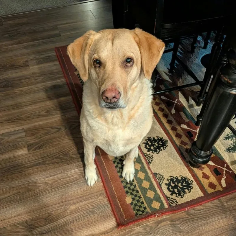Zoey thumbnail 2