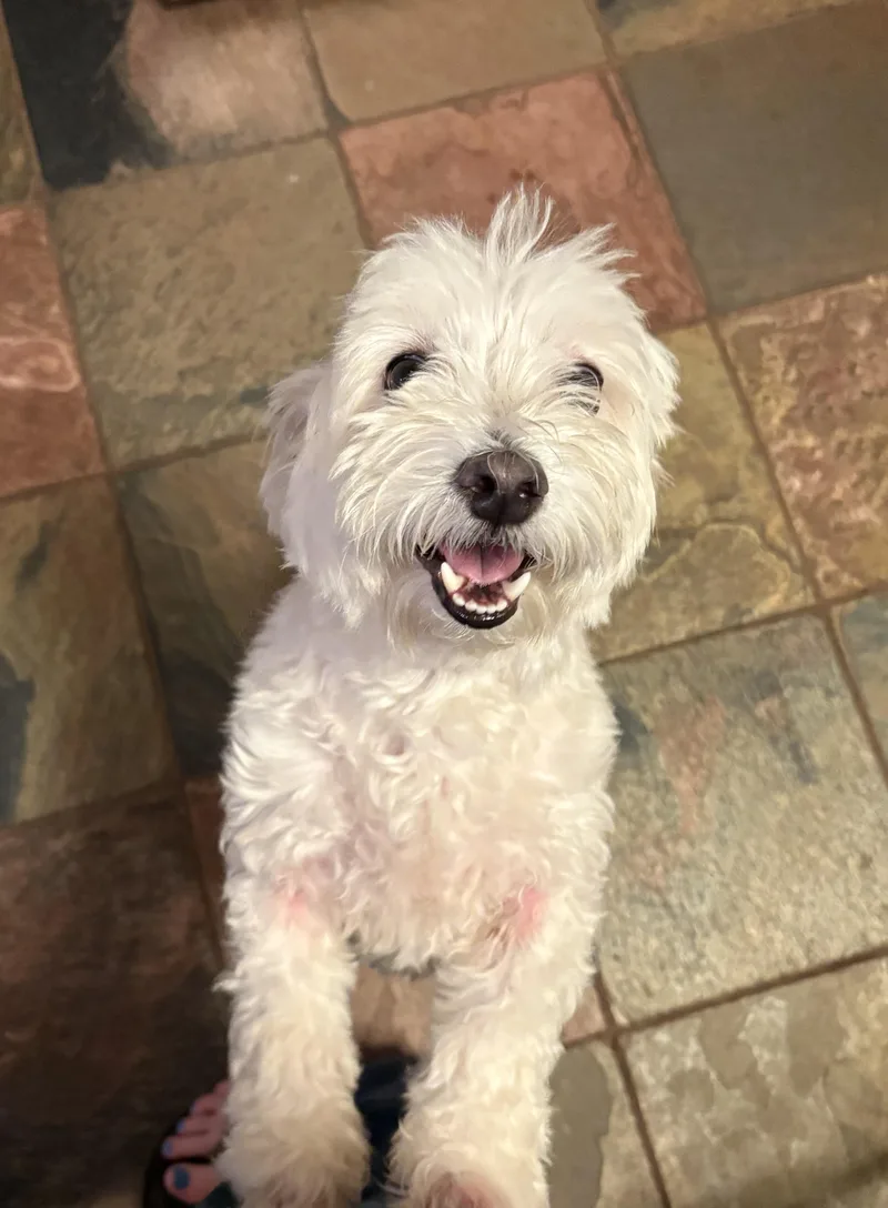 Ben