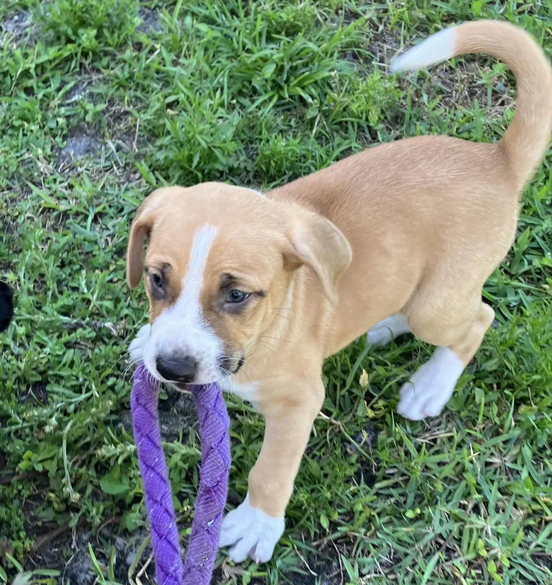 Sandstone thumbnail 2