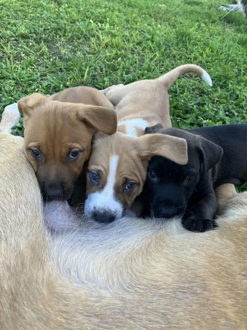 Sandstone thumbnail 3