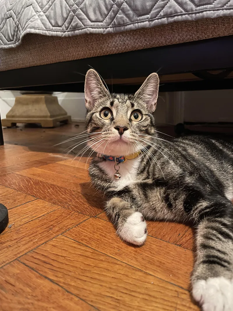 Marseille thumbnail 2