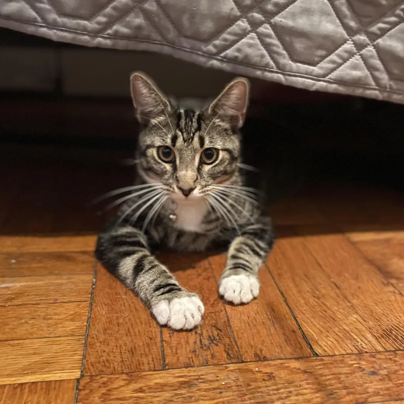 Marseille thumbnail 3