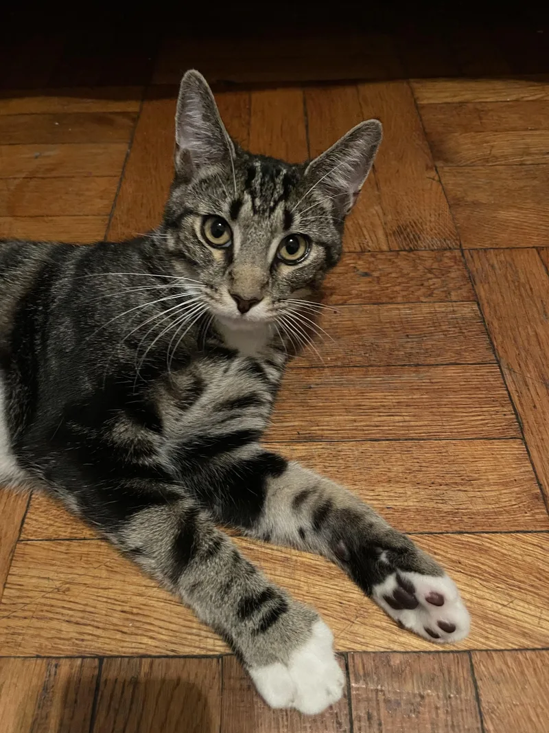 Marseille thumbnail 4