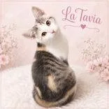 LaTavia thumbnail 2