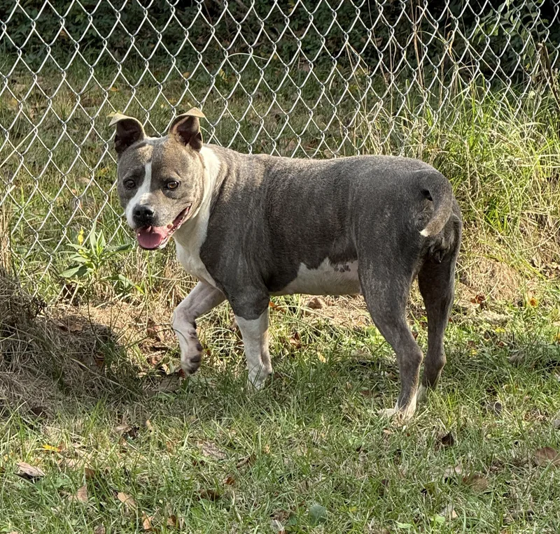 Princess thumbnail 2