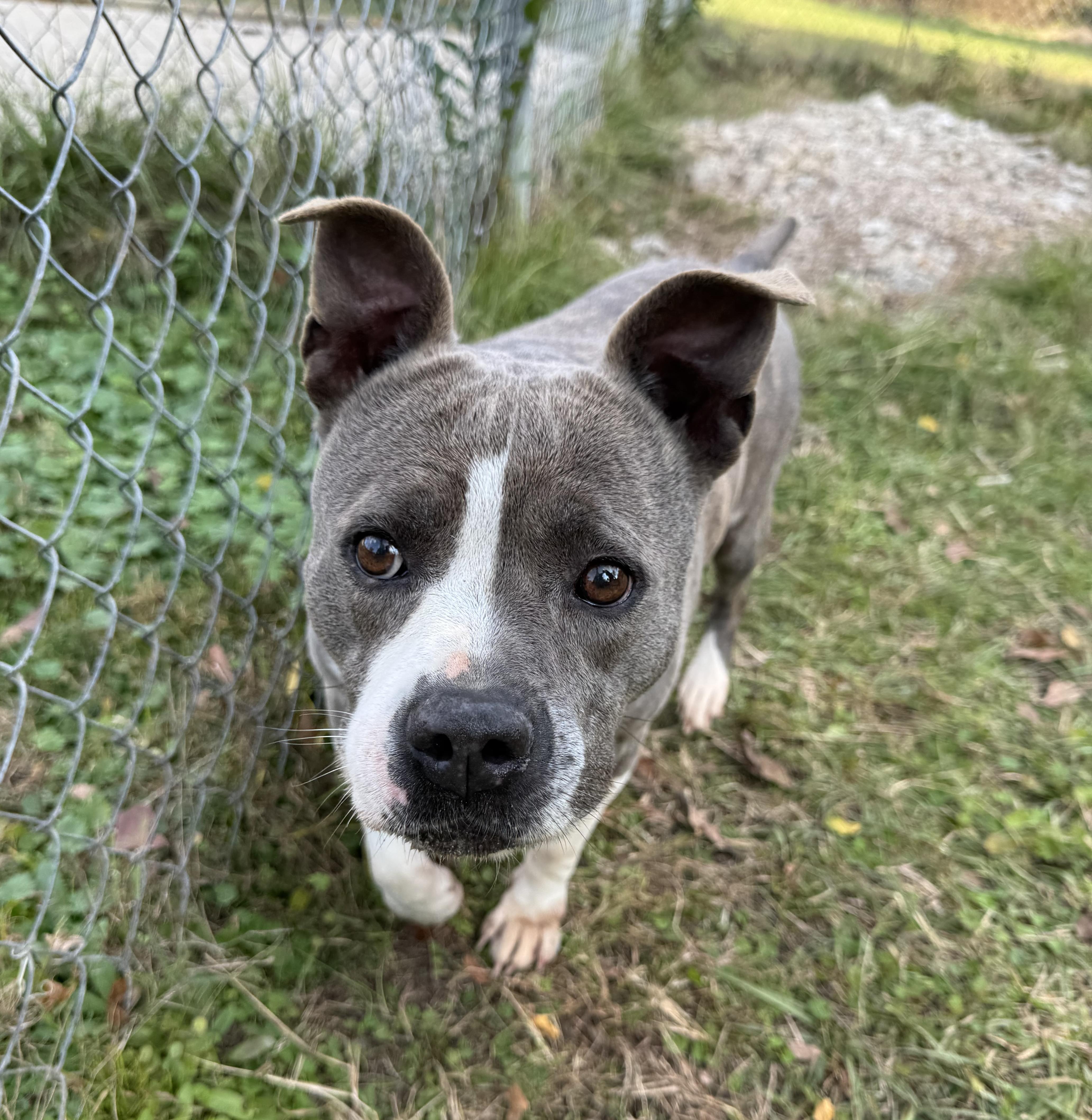 Princess thumbnail 3