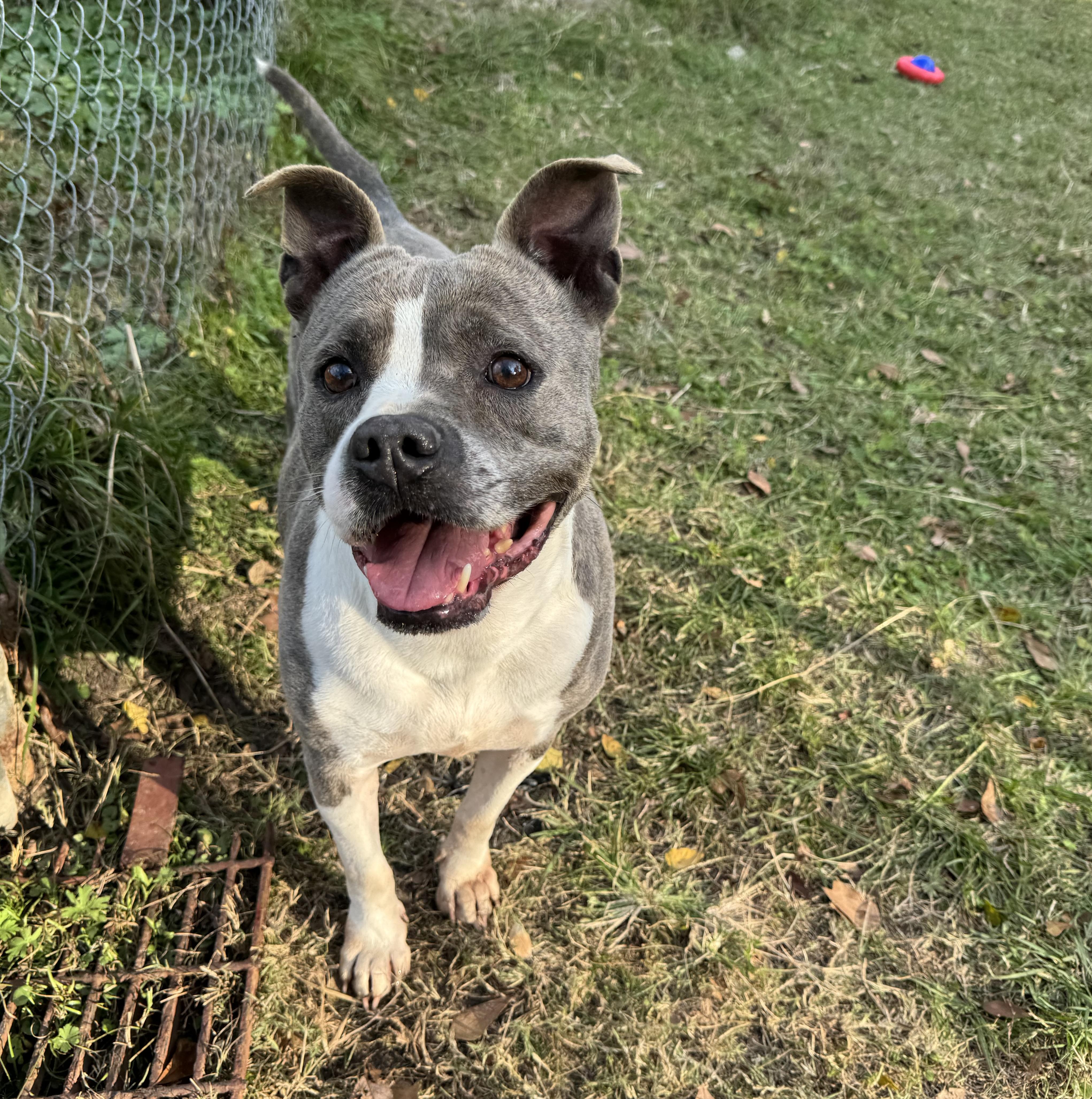 Princess thumbnail 4