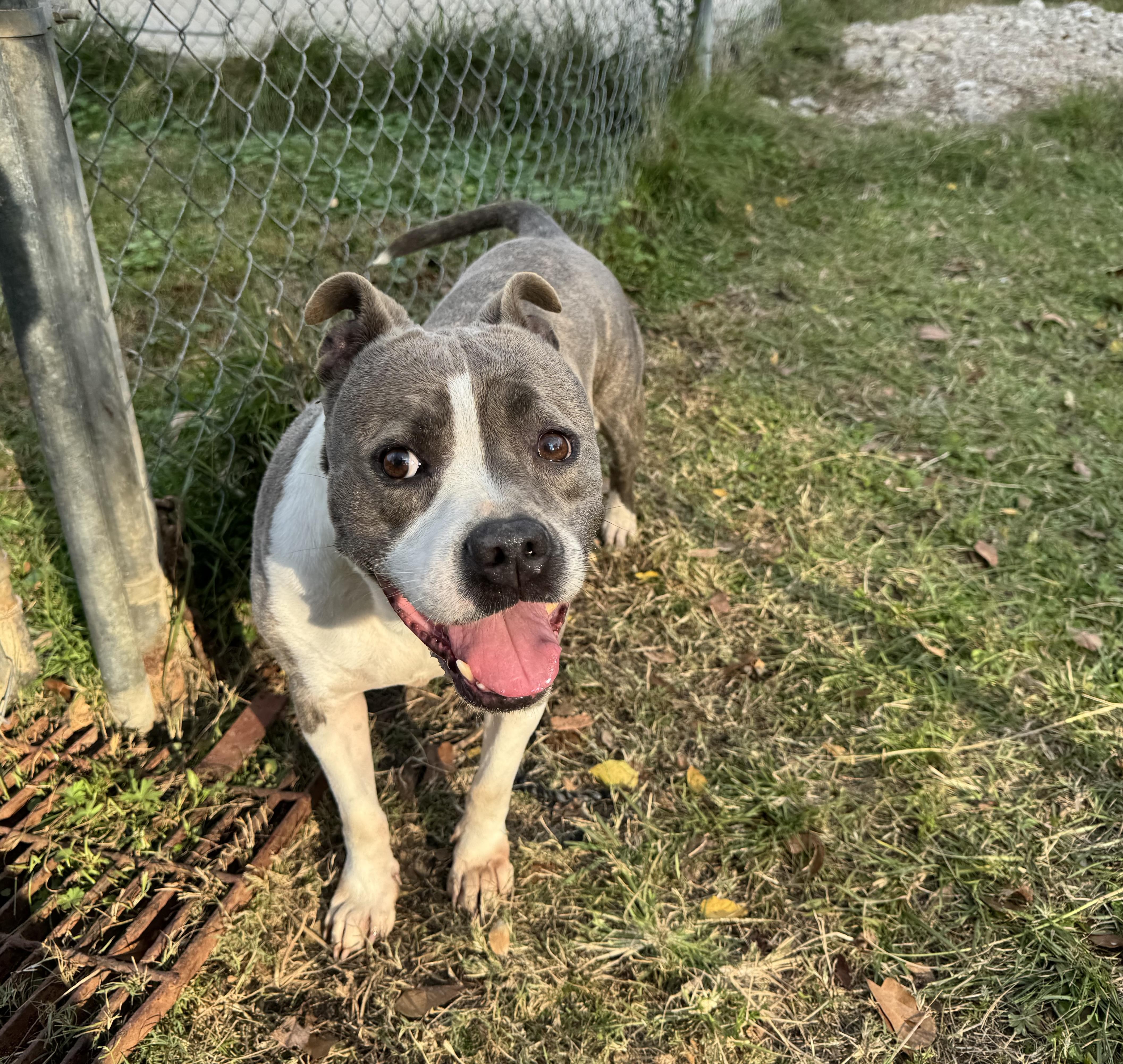 Princess thumbnail 5